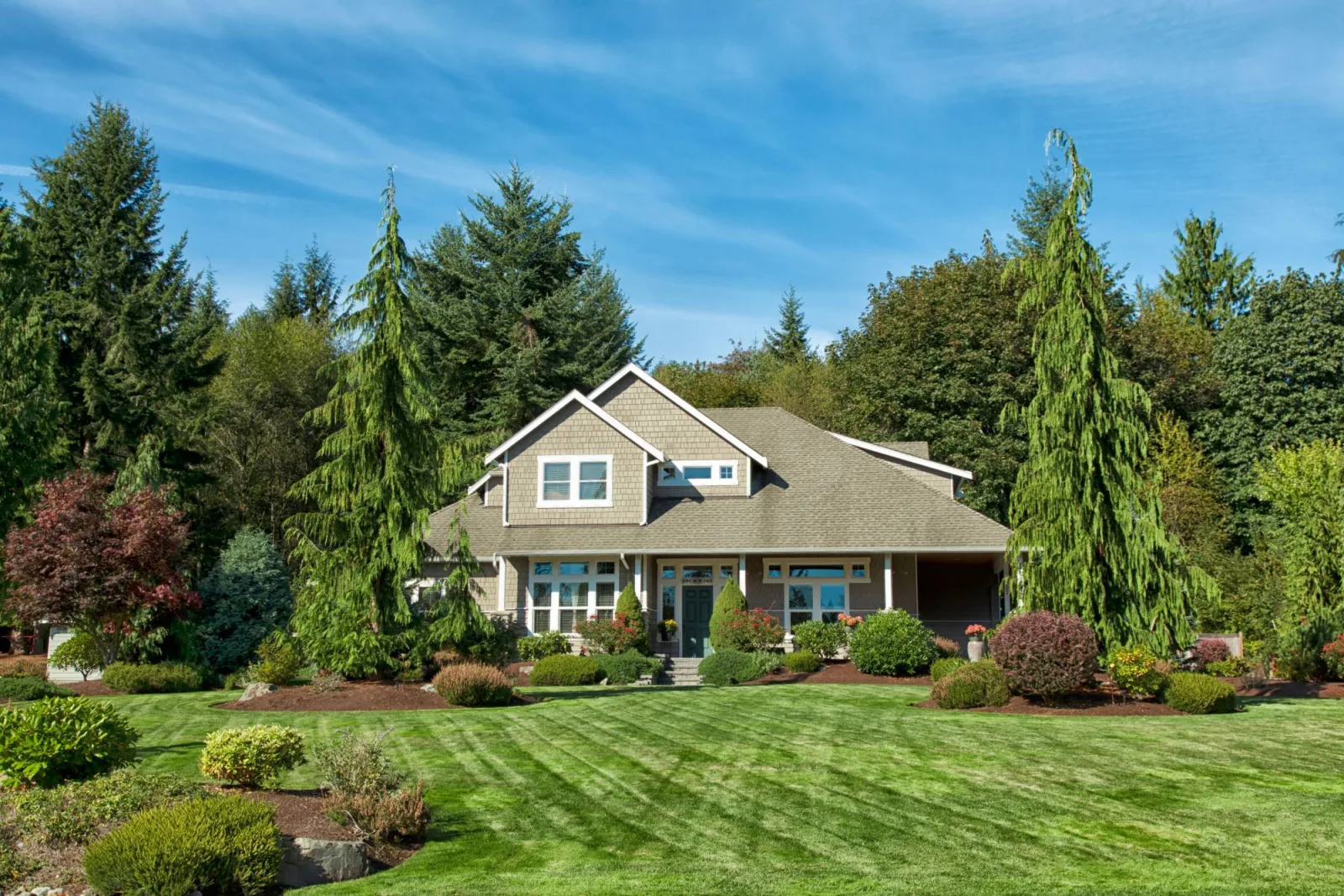 A well-kept home with healthy mature trees and a striped green lawn