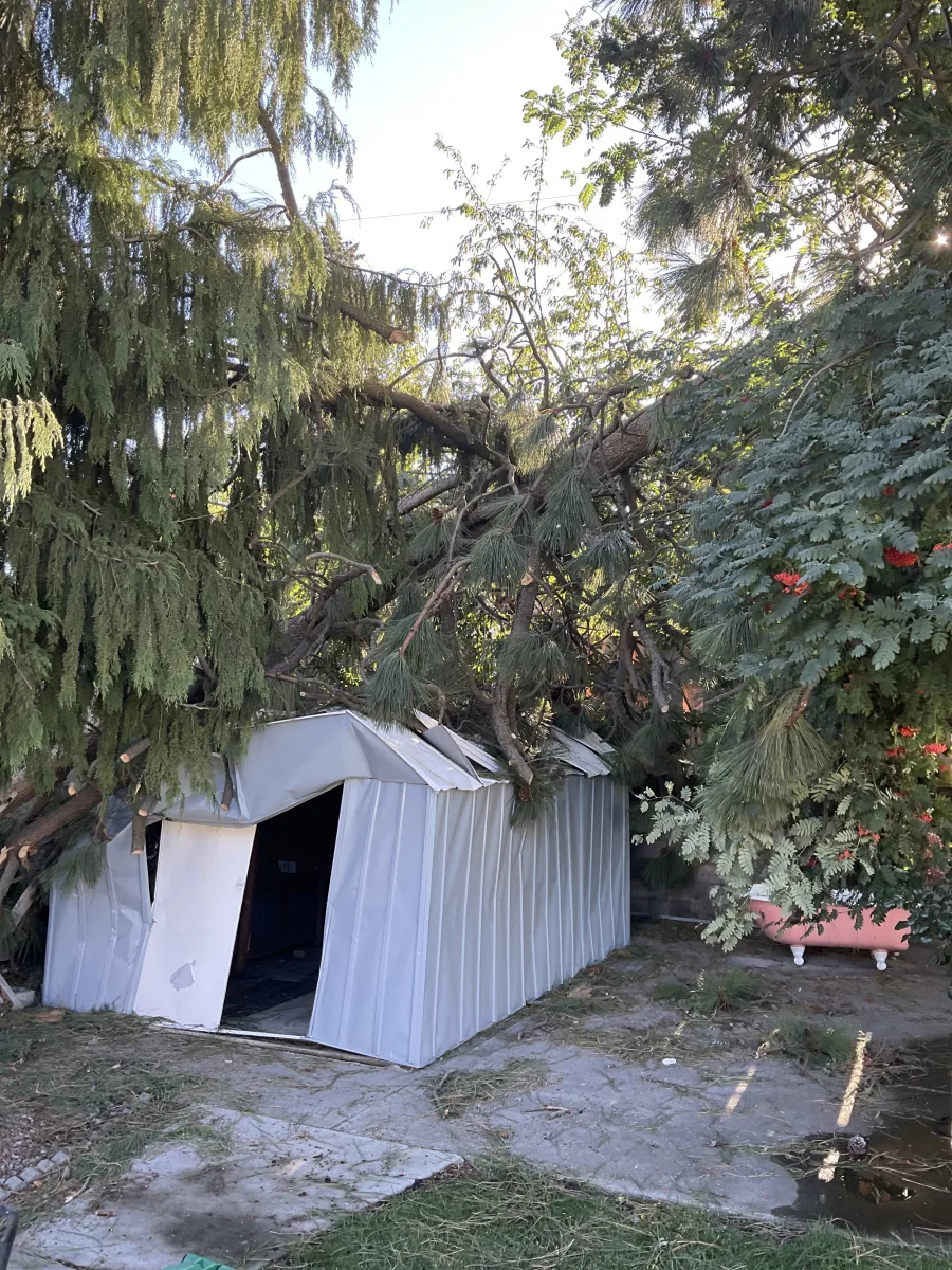 Storm-damaged tree down on a shed before Trailhead's cleanup