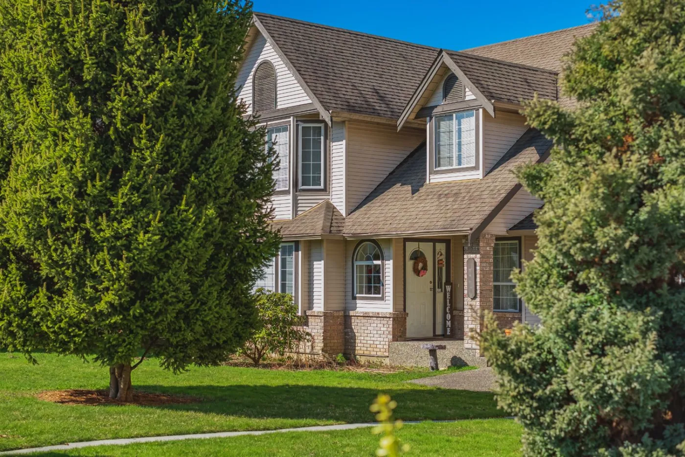 A mature spruce shading a front yard in front of a well-kept home