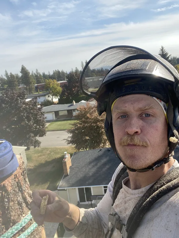 Nick, Tree climber, Branch manager at Trailhead Tree Service